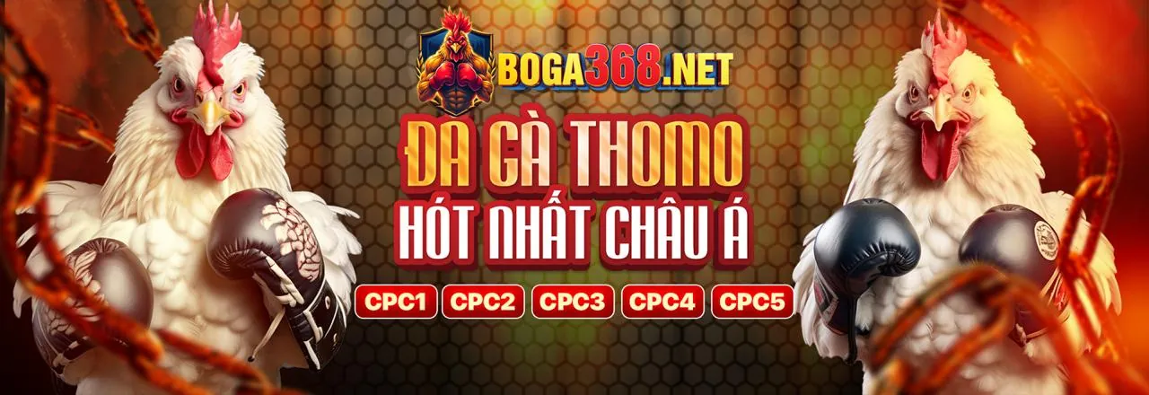 Đá gà trực tuyến Kingfun Khuyến Mãi 2026