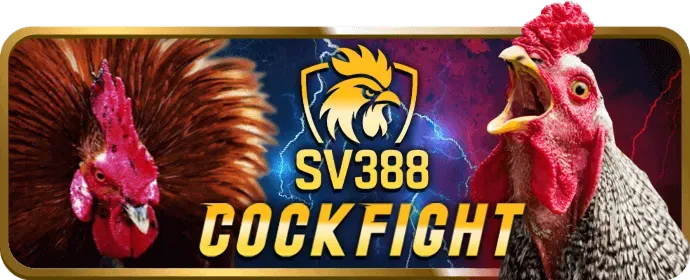 Ưu đãi Kingfun cho cá cược thể thao
